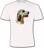 Setter (D)