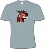 Setter (B)