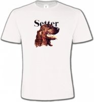 Setter (B)