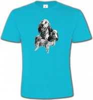 Setter anglais