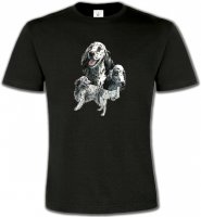 Setter anglais