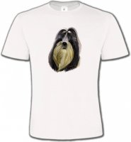 Shih Tzu (E)