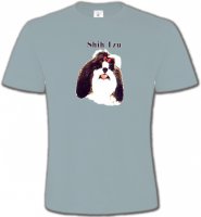 Tête de Shih Tzu (D)
