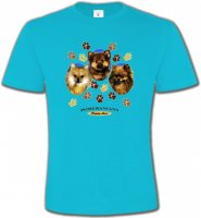 Spitz Poméranien (D)