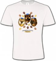 Spitz Poméranien (D)