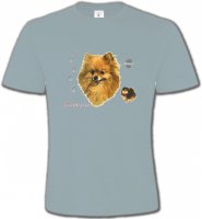 Spitz Poméranien (A)