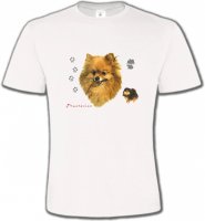 Spitz Poméranien (A)