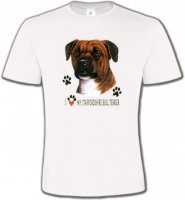 Tête de Staffordshire (A)