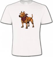 Fun Staffordshire (K)