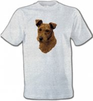 Terrier Irlandais (H)