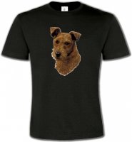 Terrier Irlandais (H)