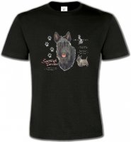 Terrier écossais (A)