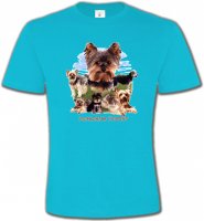 Yorkshire terrier Paysage (B)