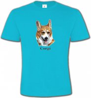 Tête de Welsh Corgi (B)