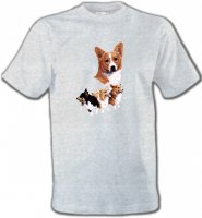 Famille Welsh Corgi (C)