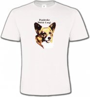 Tête de Welsh Corgi (A)