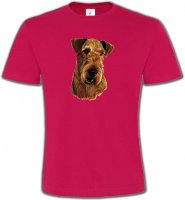 Welsh Terrier (L)