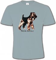 Welsh Terrier (F)