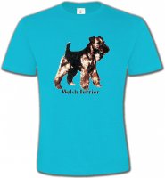 Welsh Terrier (F)
