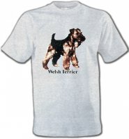 Welsh Terrier (F)