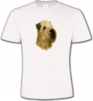 Wheaten (A)