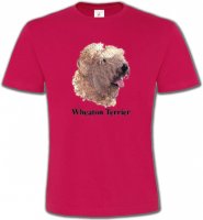 Wheaten Terrier (J)