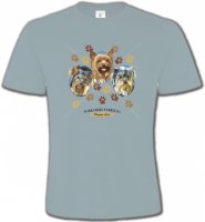 Trois têtes de Yorkshires (H)