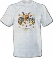 Trois têtes de Yorkshires (H)