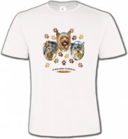 Trois têtes de Yorkshires (H)