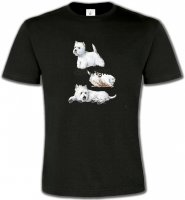 Westie (H)