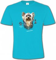 Tête de Yorkshire (A)