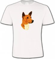 Basenji tête