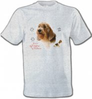 Basset Hound Vendéen