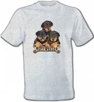 Bébés Rottweilers (R)