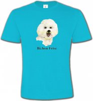 Bichon Frisé (K)