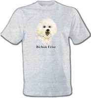Bichon Frisé (K)