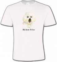 Bichon Frisé (K)