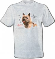 Cairn Terrier (F)