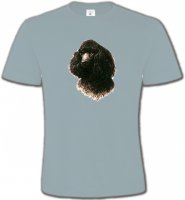 Caniche (M)