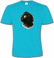 Caniche (M)