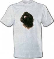 Caniche (M)