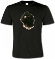 Caniche (M)