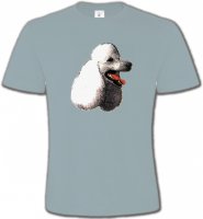 Tête de caniche (F)