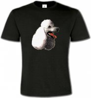 Tête de caniche (F)