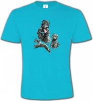 Caniche gris (L)