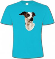 Lévrier Italien (B)