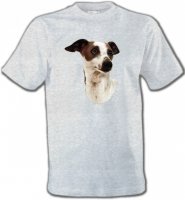 Lévrier Italien (B)