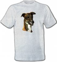 Lévrier Italien (D)