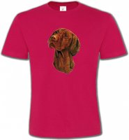 Vizsla hongrois