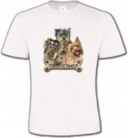 chiots yorkshire Terrier (G)